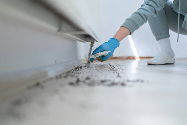 Best Affordable Pest Control Services  in USA